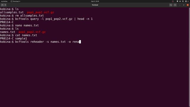 BCFTOOLS Tutorial | How to Rename Samples in a VCF file using Bcftools reheader command смотреть онлайн