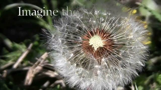 OpenShot 1.1.0 Released! смотреть онлайн