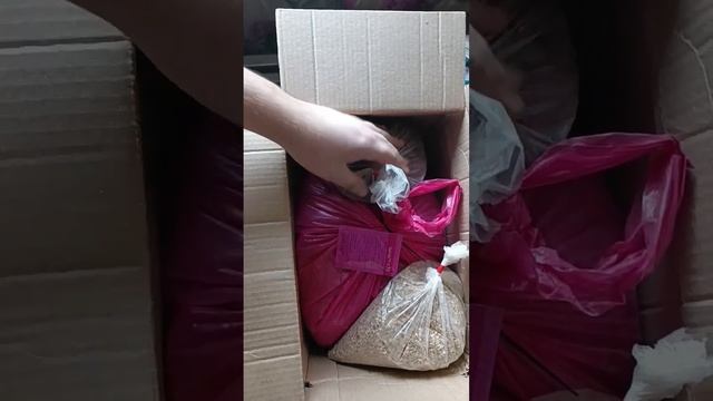 Тёмное ароматное пиво