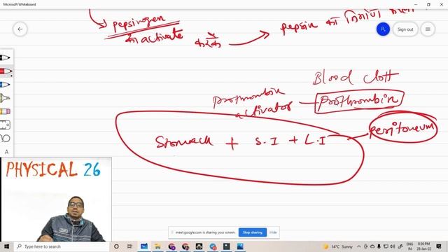 up, rajasthan, kvs, nvs, dsssb, TGT,PGT Physical education part 6 digestive system смотреть онлайн