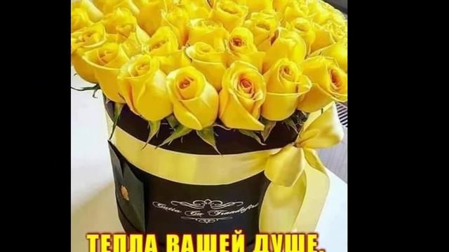 СВЕТЕ ТАК ЛУЧШЕ СМОТРЕТЬ ФОТОГРАФИИ С МУЗЫКОЙ смотреть онлайн