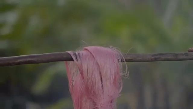 La naturaleza en el diseño: Grana Cochinilla | Fernando Laposse (con Audiodescripción) смотреть онлайн