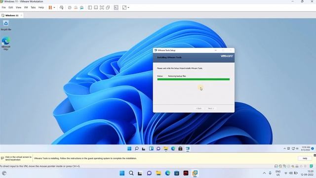 How to install VMware Tools install Windows 11 смотреть онлайн