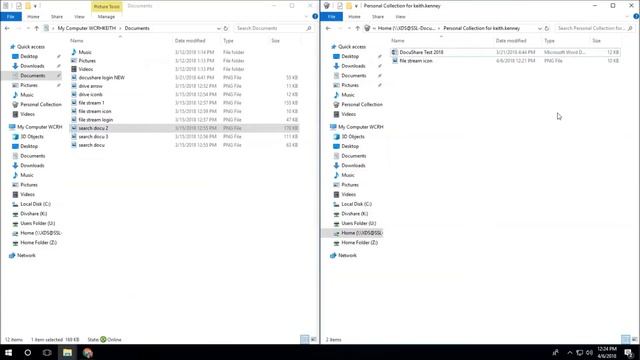 Windows 10: Browsing, Checking-Out and Updating in DocuShare Drive смотреть онлайн