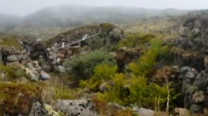 ВИА Творческие узбеки  ft. Sheila Chandra  Meditation north wind