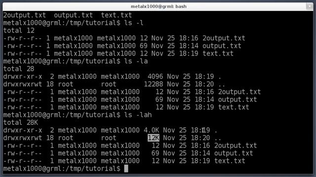 Shell Basics - Working with Files and Directories - Linux Tutorial #4 смотреть онлайн
