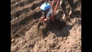 Культиватор Крот окучник посадка картошки