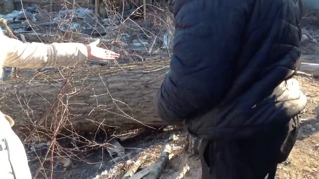 Ольга Смирнова на месте сноса дома и деревьев смотреть онлайн