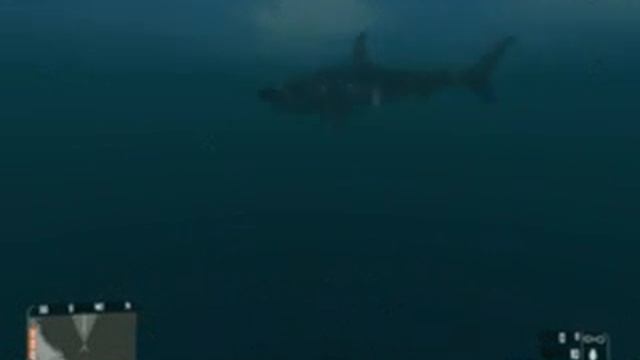 Shark in Crysis (AMD Sempron = laggy game) смотреть онлайн