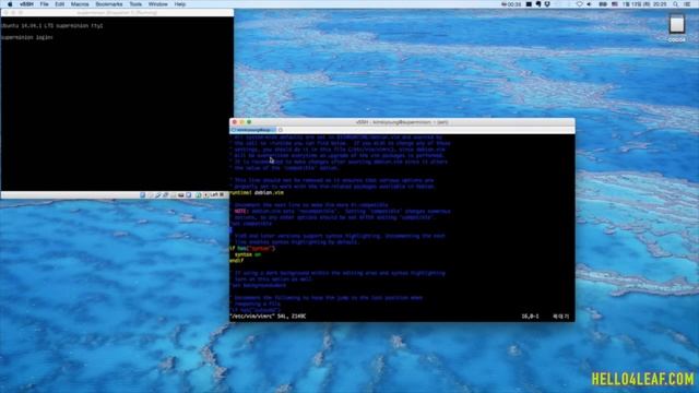 Install Vim and Customization смотреть онлайн