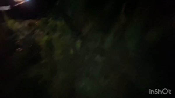 Партизанская точка или поворот не туда)