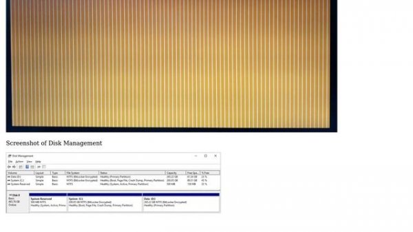 Windows 10 Shows Orange Screen with White Vertical Lines on boot