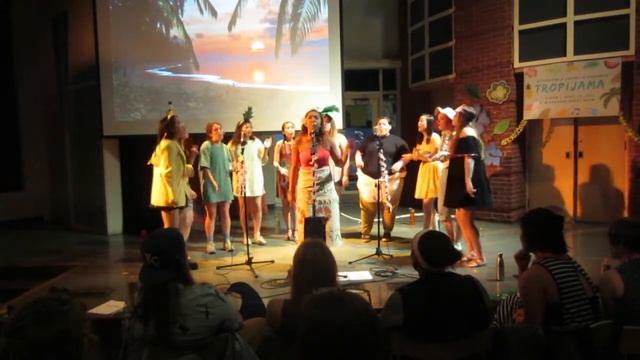 Bust Your Windows - Tropijama смотреть онлайн