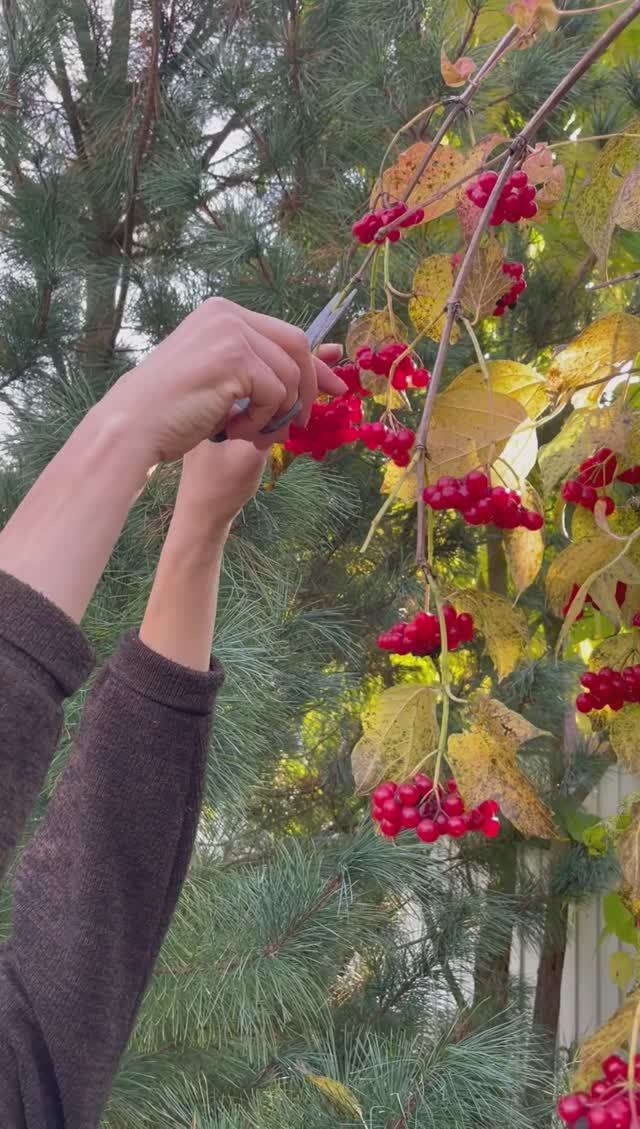 Калина к чаю смотреть онлайн