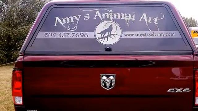 Amy's Animal Art Taxidermy: Truck Window Graphics смотреть онлайн
