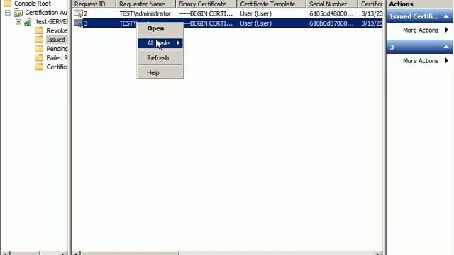 cert revocation in windows 2008 r 2 смотреть онлайн