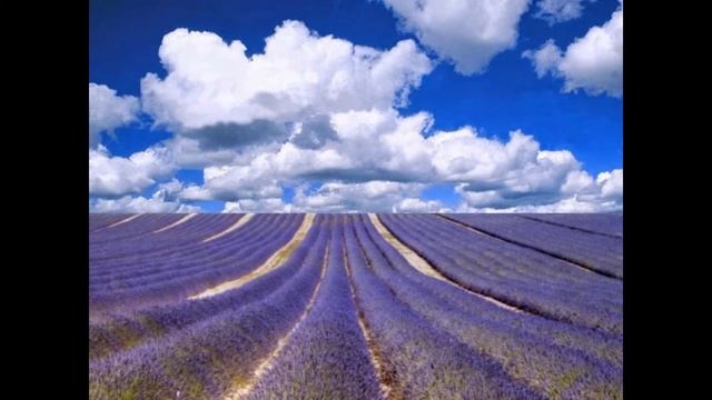 HD Desktop and Laptop Wallpapers for your Computer смотреть онлайн