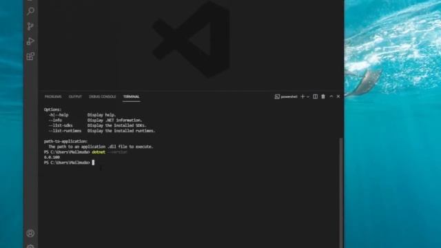 Cara Pasang DotNet Core SDK & Visual Studio Code Dalam Windows 10 смотреть онлайн