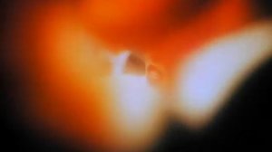 группа   Army Of Lovers (  Hurrah Hurrah Apocalypse)