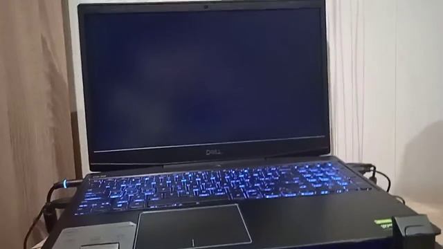 new Microsoft update windows 11 смотреть онлайн