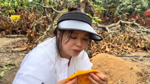 【旅游合集】青海旅游攻略，西宁旅游和居住最好的地方在哪里 смотреть онлайн
