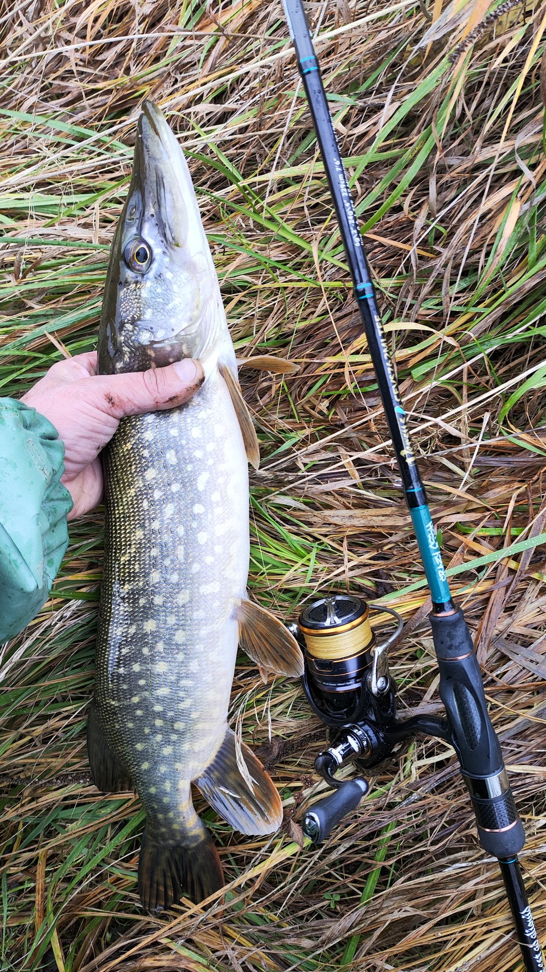 Вот это щука! Щука на воблер. смотреть онлайн