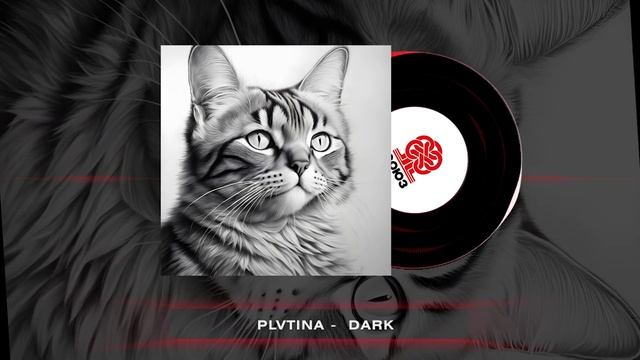 PLVTINA - DARK (2024) смотреть онлайн