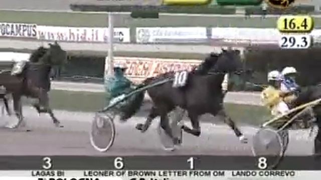 Premio Italia 2008 -Letter From Om смотреть онлайн