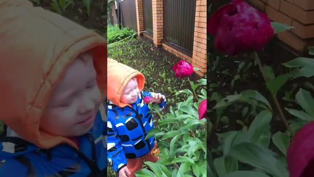 Любимый внук познаёт мир #дети #малыши смотреть онлайн