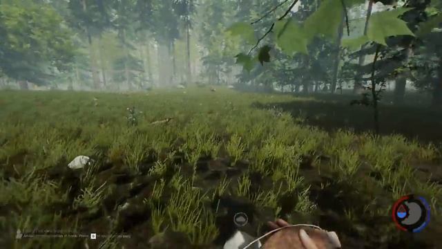 The Forest → Нашли СЫНА!!! → Found SON!!! смотреть онлайн