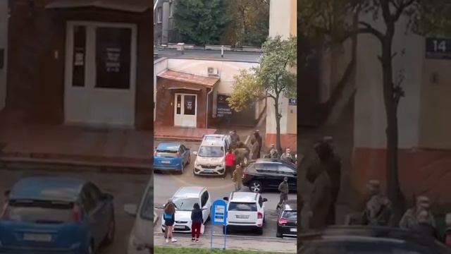 Нападение свиней на одну овцу толпой во Львове смотреть онлайн