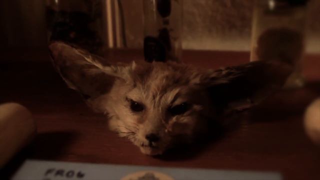 It Came Through the Window - The Real Tuesday Weld смотреть онлайн