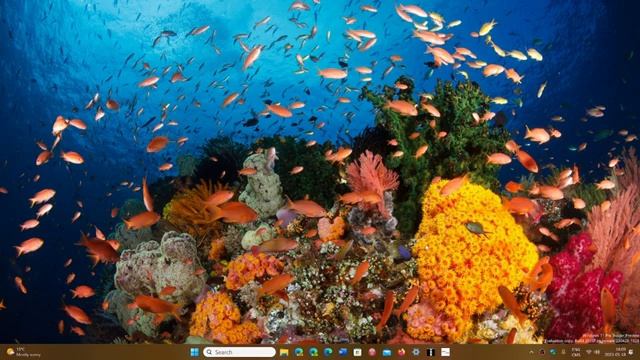 Windows 12 Viewer questions about the upcoming OS in 2024 смотреть онлайн