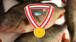 Уловистая модель тейл-спиннера, которая ловит ВСЁ!