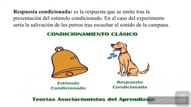 El Conductismo de: Iván Pávlov y John B. Watson смотреть онлайн