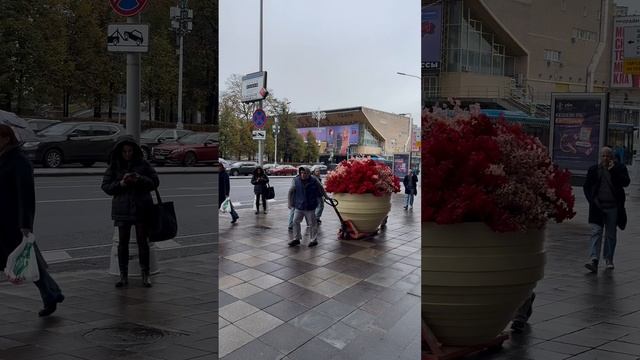 Декоративные композиции для оформления входной группы отеля от Medecor.ru 😍