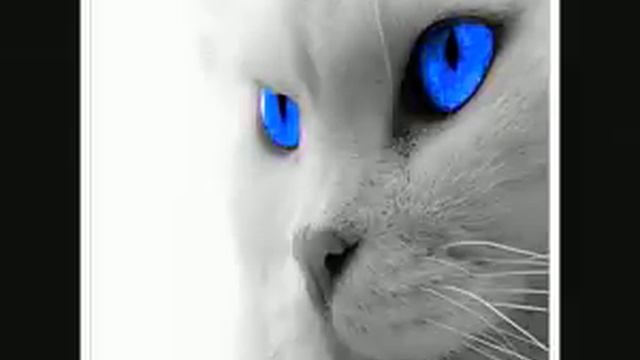 Windows Error Techno Remix смотреть онлайн