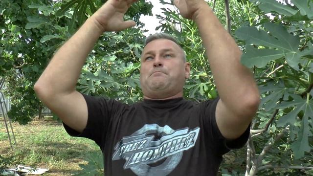 Крым. Цены на бензин и другое пошли вниз. смотреть онлайн