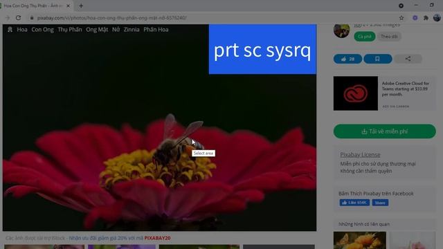 CÀI ĐẶT VÀ SỬ DỤNG PHẦN MỀM CHỤP MÀN HÌNH MÁY TÍNH смотреть онлайн