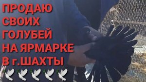Продаю своих голубей на ярмарке в г.Шахты. Птичий рынок. Николаевские голуби.