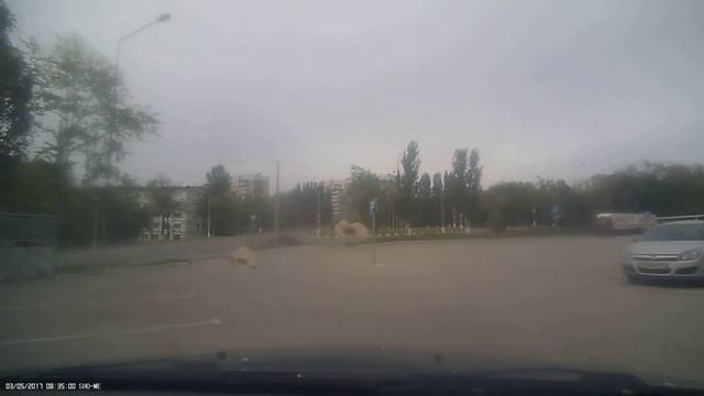 от магазина всё правильно а вот по улице ДЗЕРЖИНСКОГО не понятно смотреть онлайн