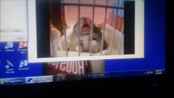 The Ultimate BSOD Compilation (Official One)