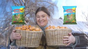 Добавка кормовая для кур Здравур