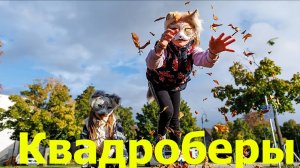 Квадроберы