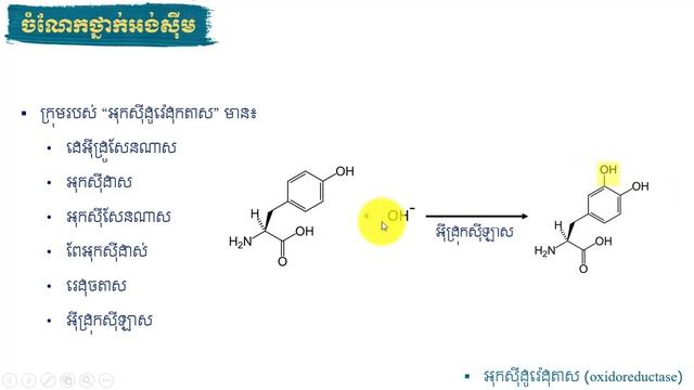 ជំពូក៤ // មេរៀនទី៣ អង់ស៊ីម // ចំណែកថ្នាក់អង់ស៊ីម смотреть онлайн