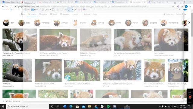 How to Use Windows Snipping Tool смотреть онлайн