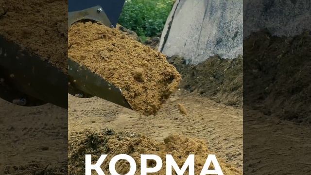 Ковш кормораздаточный для раздачи корма, зерна, и других сыпучих лакомств для животных. смотреть онлайн