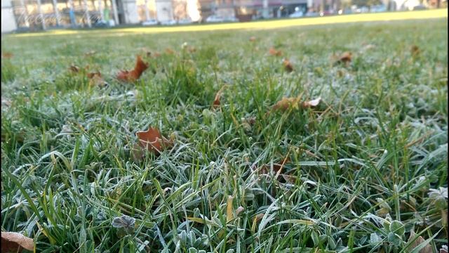 [HTC One M8 - Sample Pictures] 6.1 Android / 4-UltraPixel duo camera смотреть онлайн