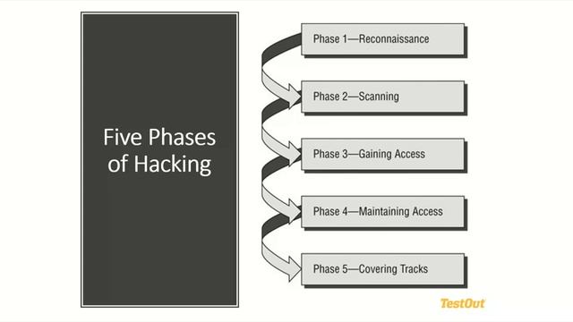 TestOut Webinar: How to Create an Isolated and Legal Environment for Teaching Ethical Hacking смотреть онлайн