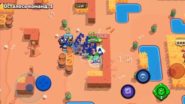 браво старс